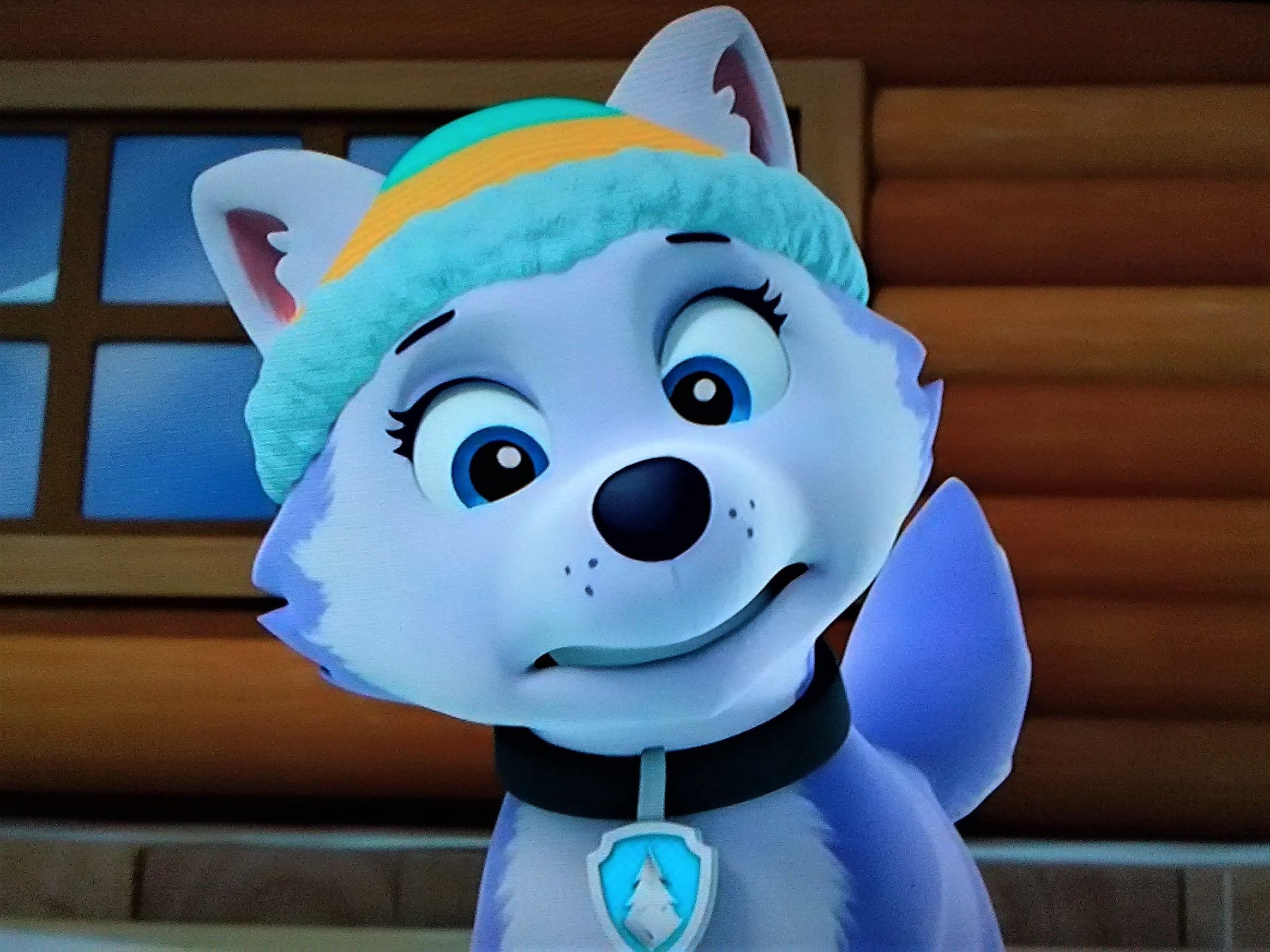 2329x1746 Discover 7 Paw Patrol Everest and paw patrol ideas on this Pinterest board. everest paw patrol, paw, paw patrol pups and more