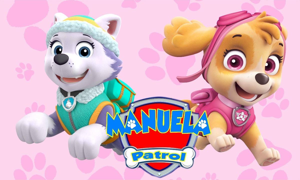 1200x720 Paw Patrol Skye Wallpaper