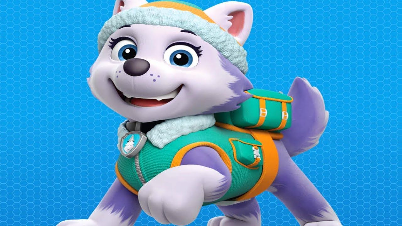 1280x720 Everest helps Zuma in Tracker's Jungle Adventure. Paw Patrol Rescue World
