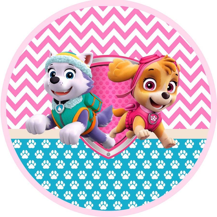 900x900 Paw Patrol Everest And Skye Wallpaper