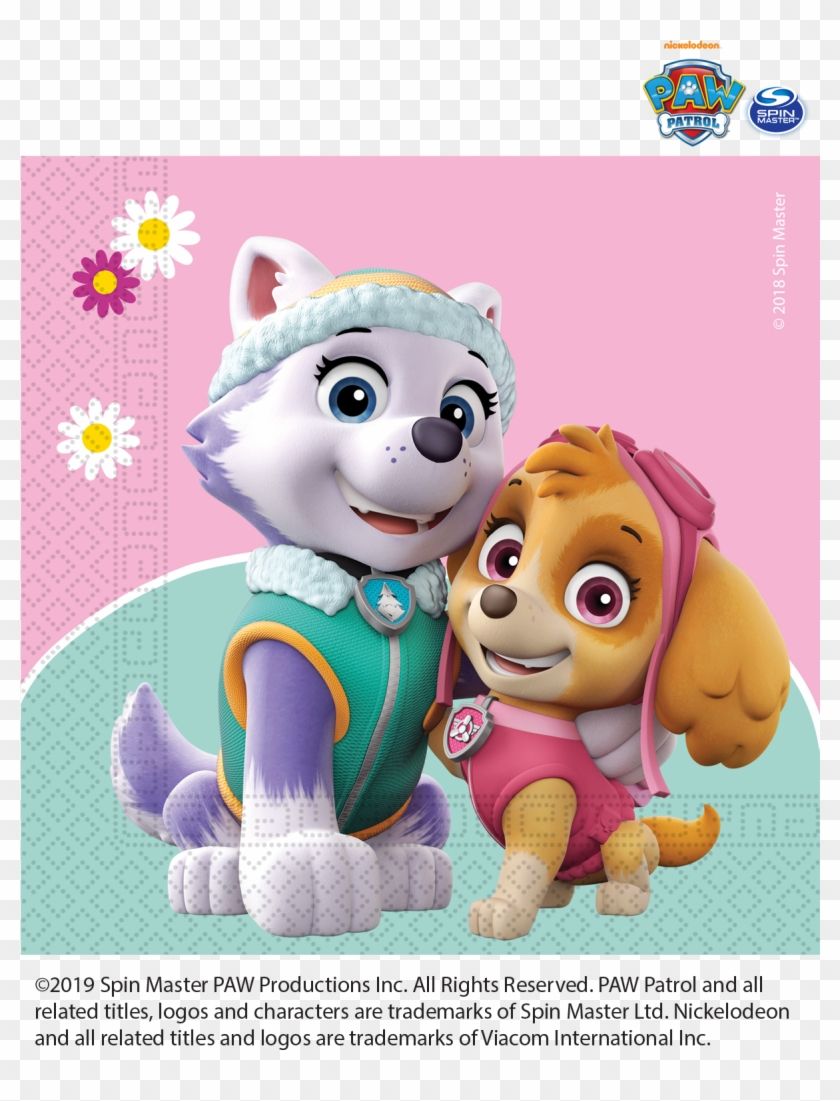 840x1101 Paw Patrol Skye Everest Pink Mint Tableware Decorations Patrol, HD Png Download