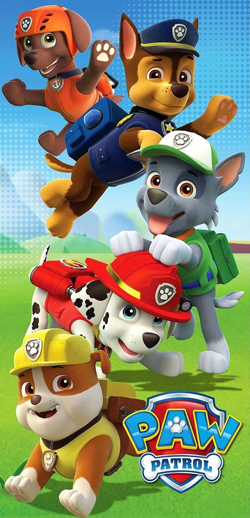 800x1655 Paw Patrol, animated, cachorros, dibujos, nick jr, patrulla, HD phone wallpaper