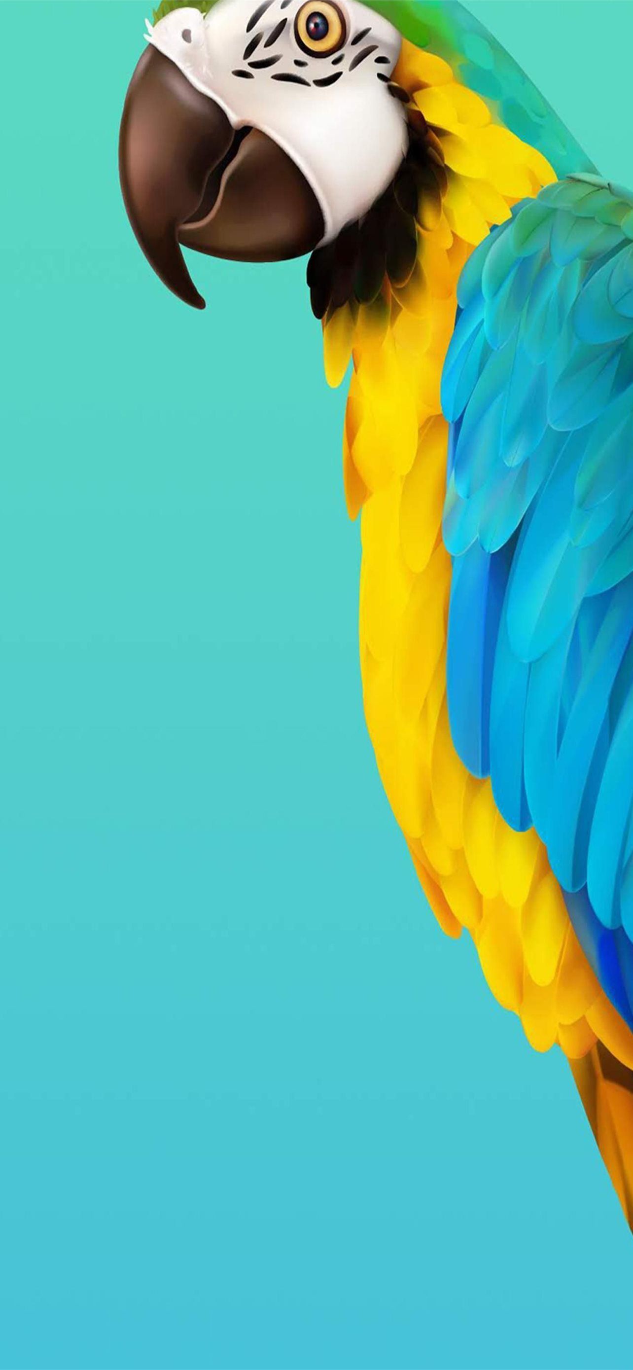 1284x2778 Note 10 iPhone Wallpaper Free Download