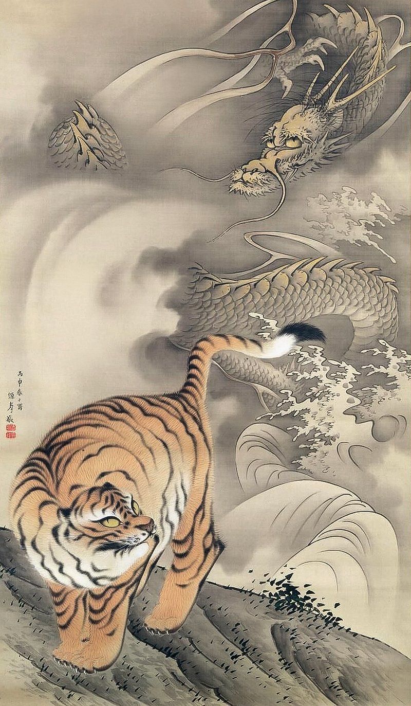 800x1373 Japanese Tiger Image Wallpaper