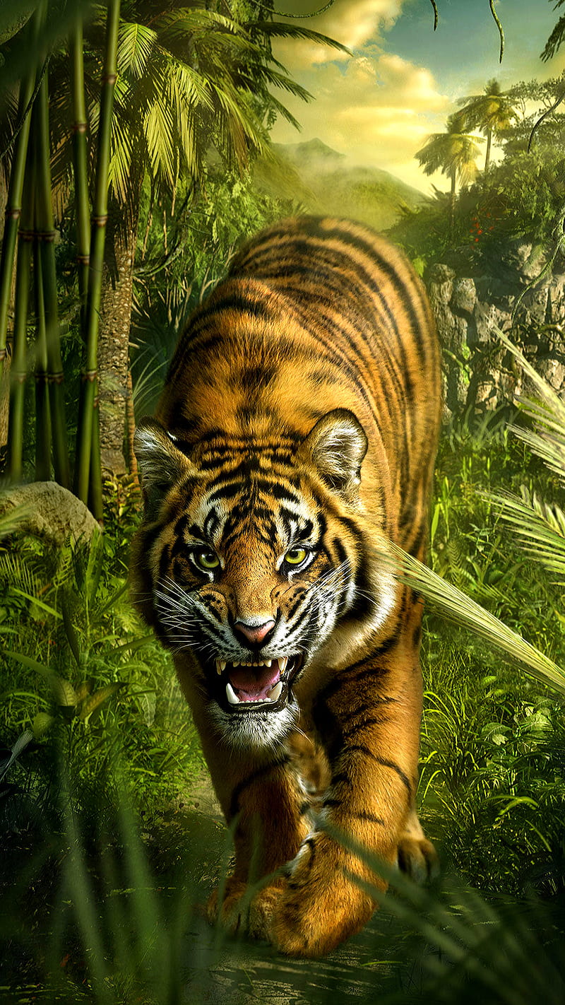 800x1422 Tiger, animal, drawings, forest, wild, HD phone wallpaper