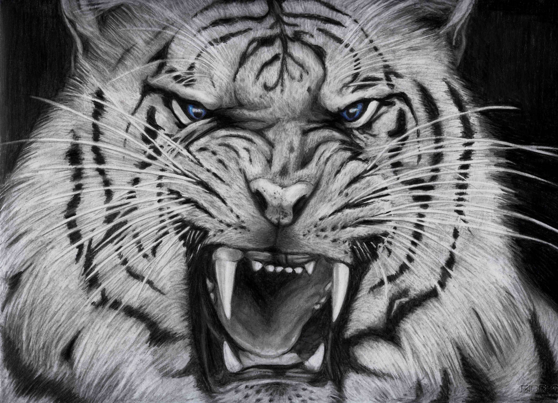 1920x1387 Download Cool Tiger Charcoal Drawing Wallpaper