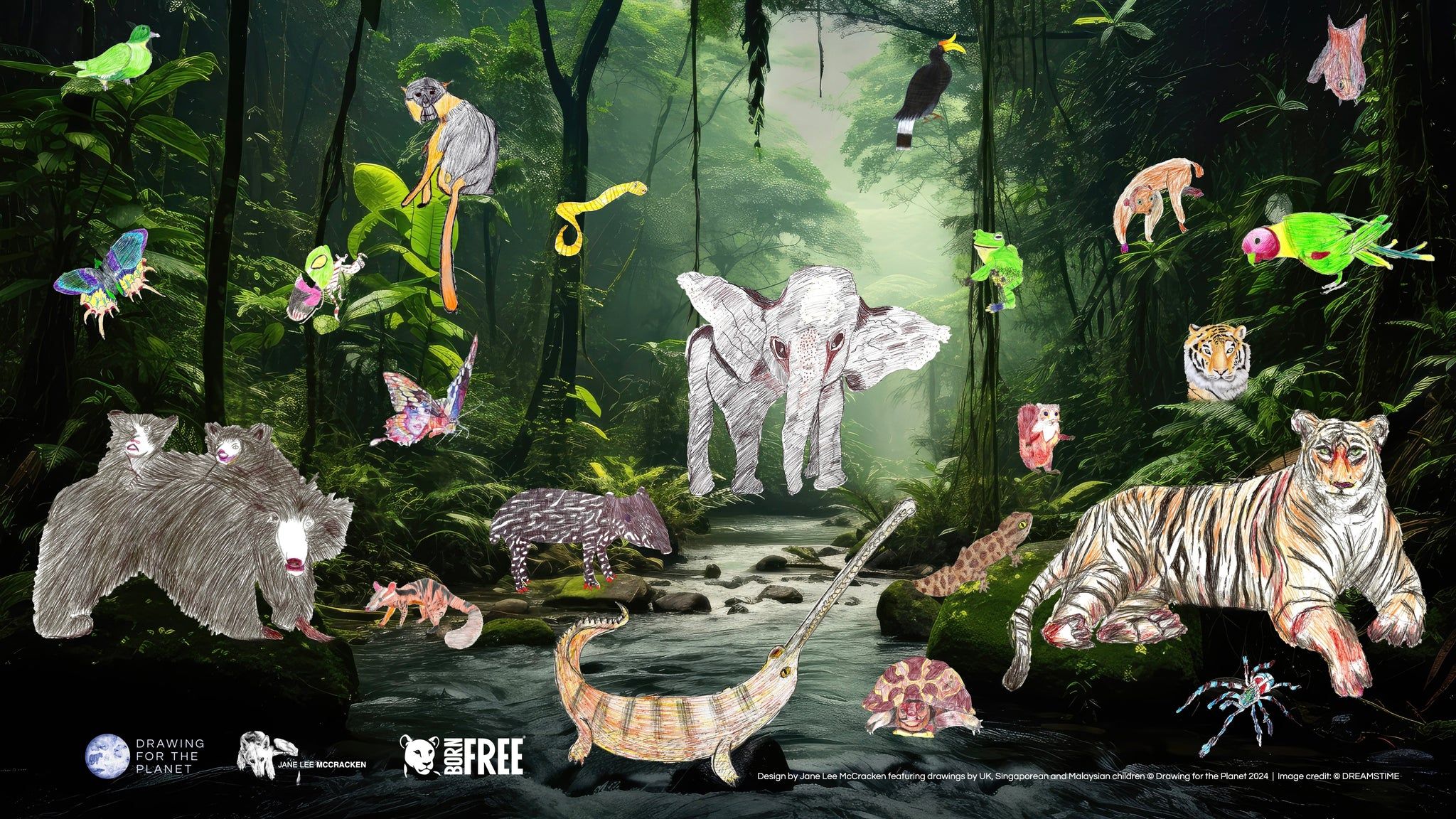 2048x1152 THE TIGERS' FOREST