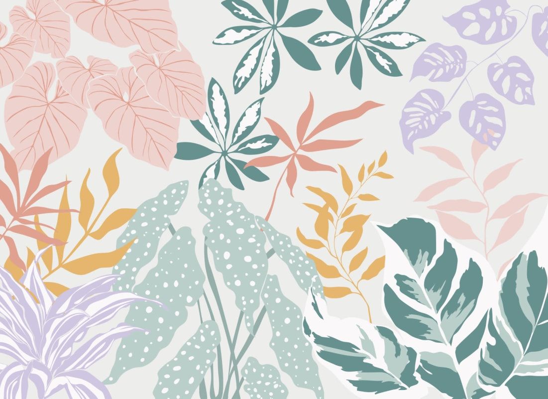 1101x801 Calathea Pastel