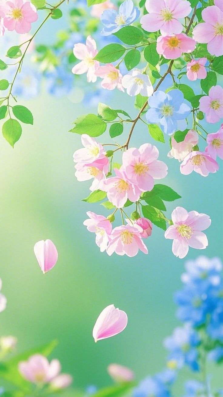 736x1309 Pastel Flower Spring Wallpaper