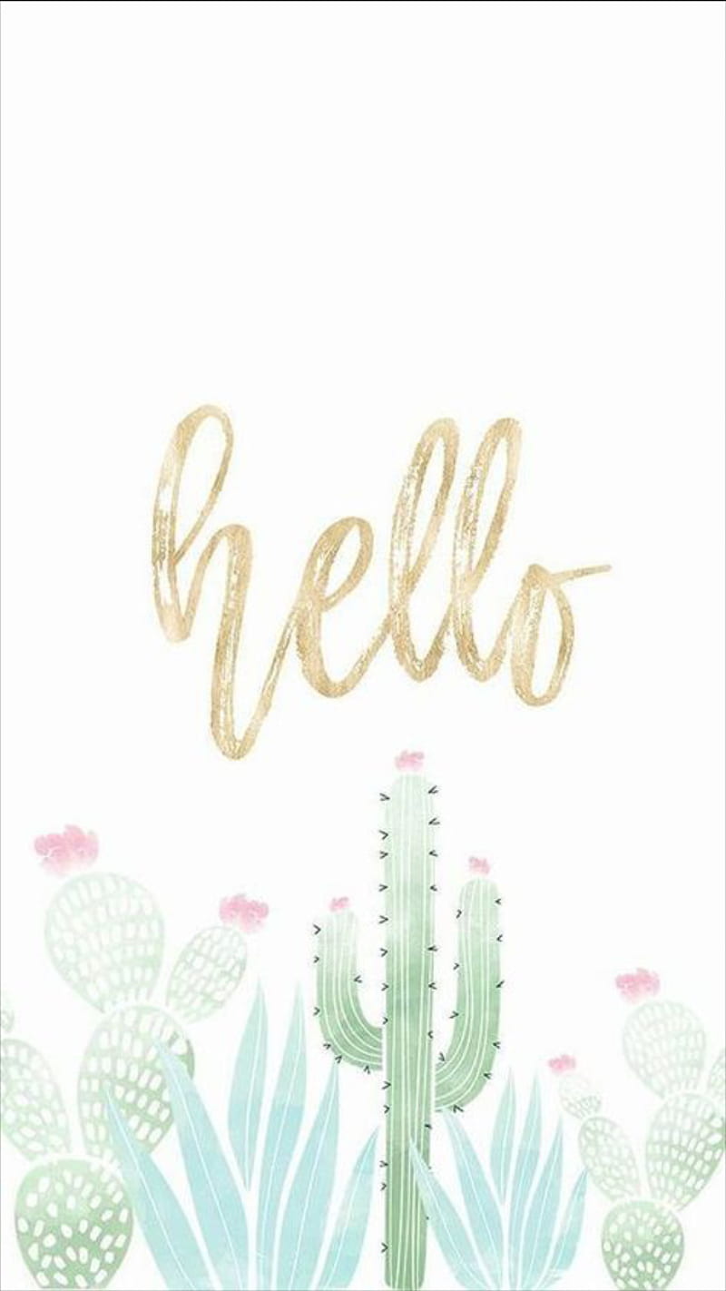 800x1422 Hello Plants, asthetic, cactus, cute, pastel, HD phone wallpaper