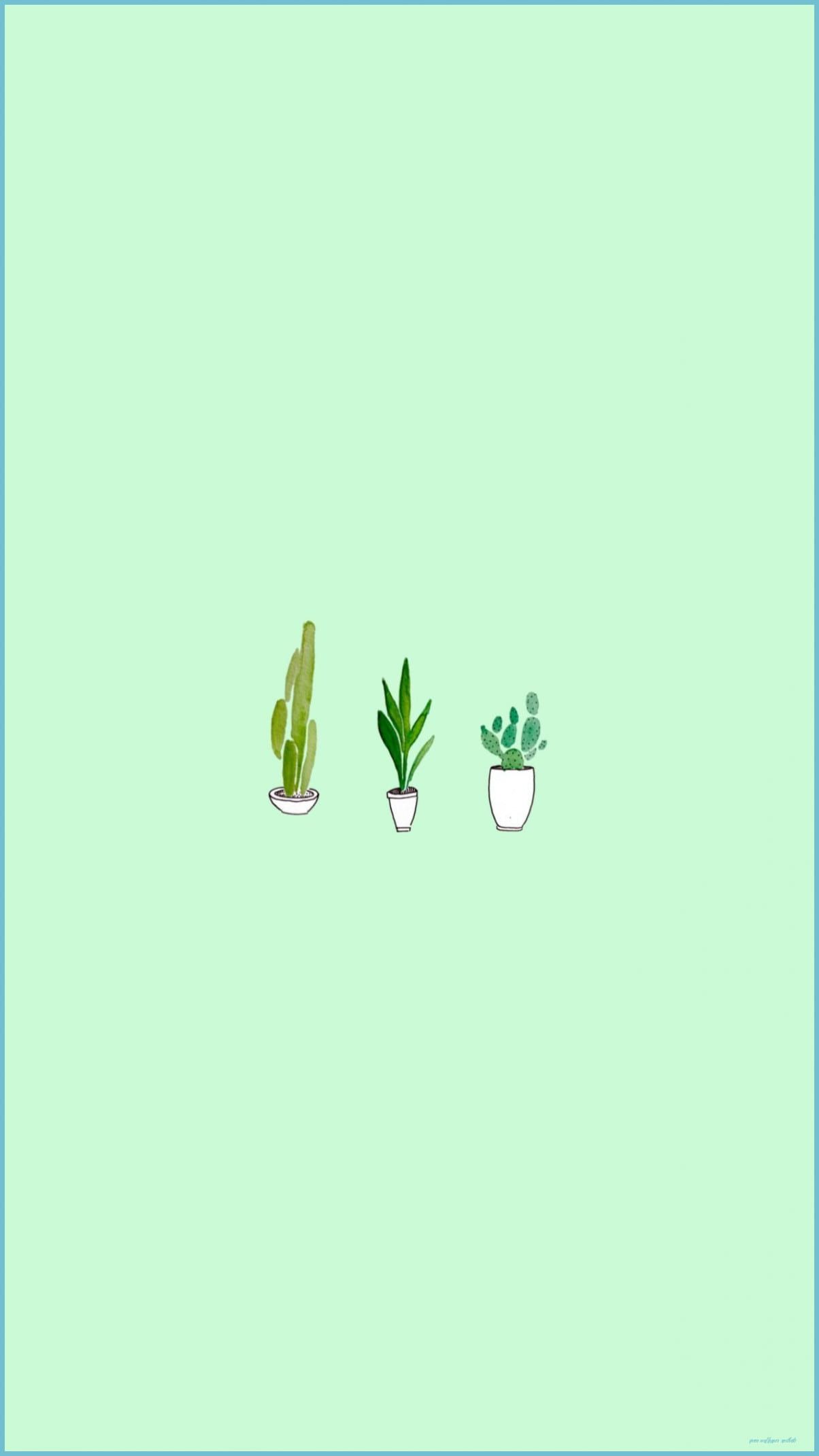 1204x2141 Soft pastel green background with minimal plants. Mobile wallpaper [1204x2141]