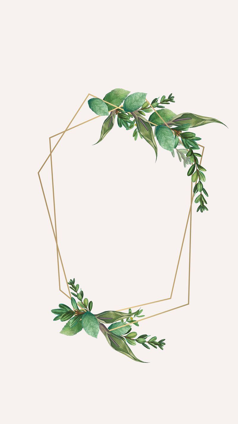800x1422 Plant frame, pastel iPhone wallpaper