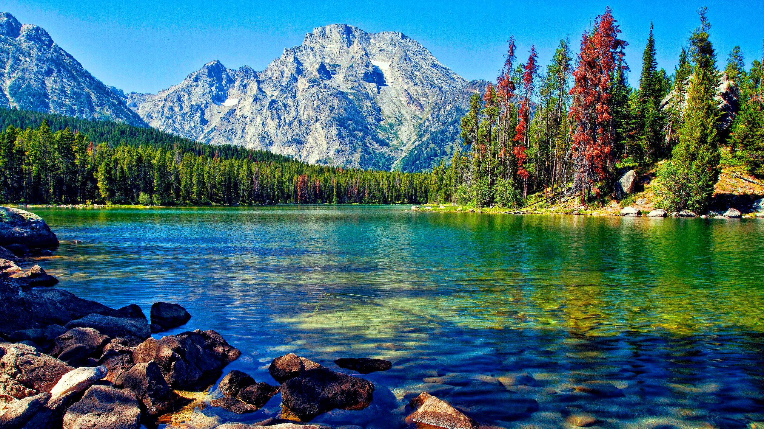 2560x1440 Beautiful Stones Lake Trees Forest Rock Mountains Sunrays Blue Sky Background HD Nature Wallpaper