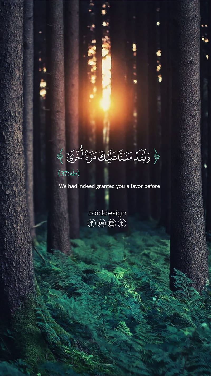 800x1422 Quran Verses, HD phone wallpaper
