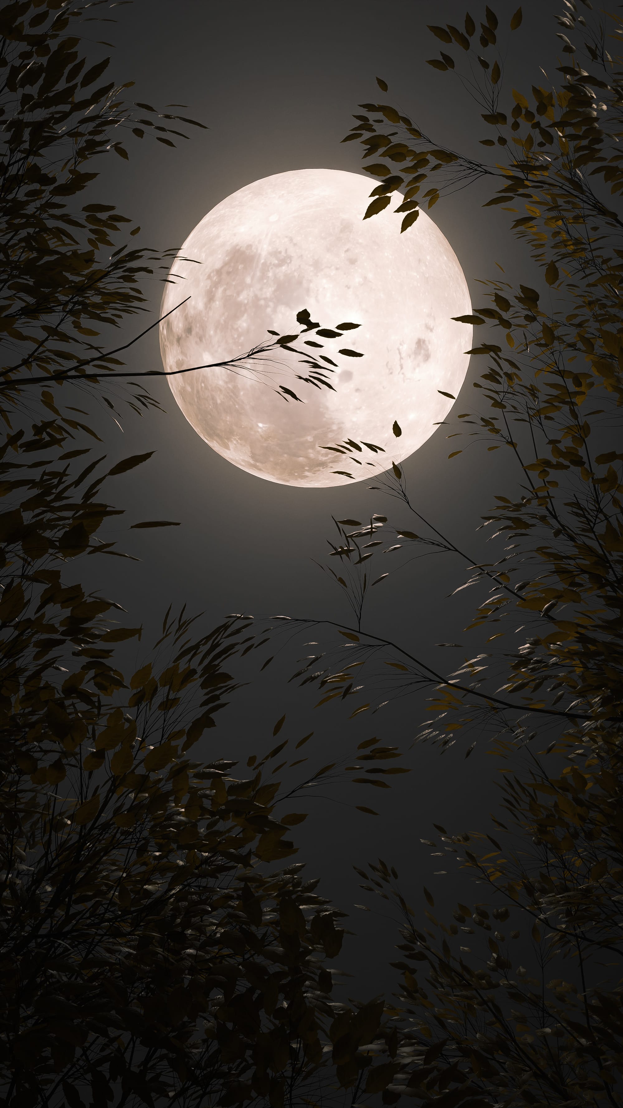 2000x3555 Bright Moon Wallpaper