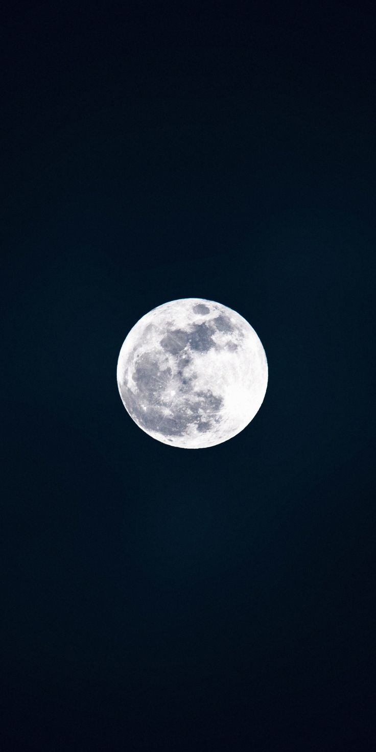 736x1472 Bright, Full Moon, Night, 1080x2160 Wallpaper