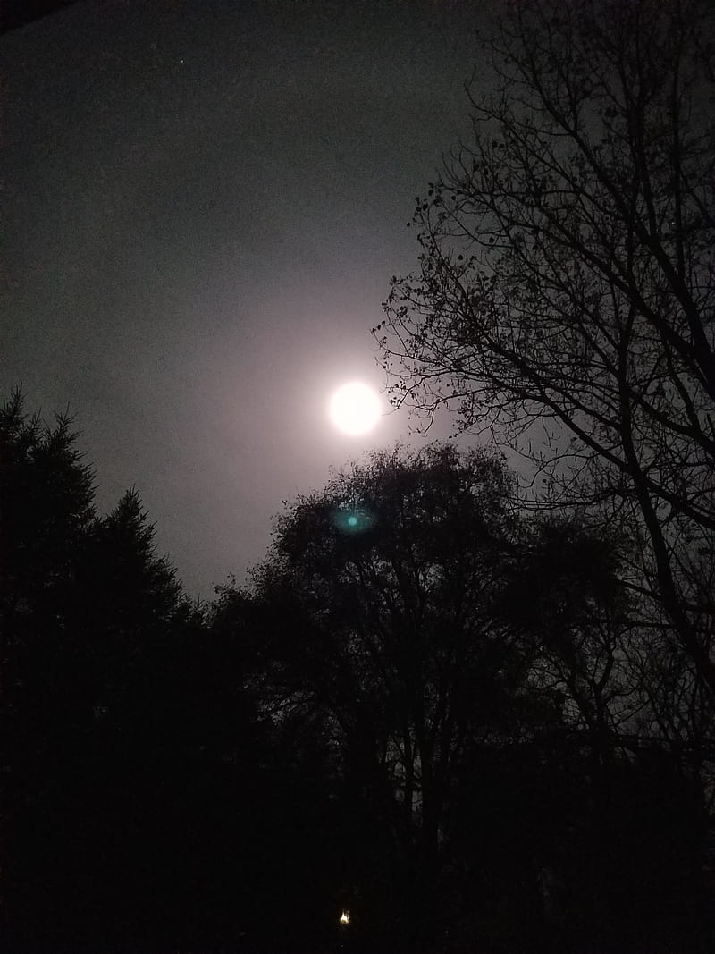 800x1067 Bright moon, moon, moonlight, night, super moon, HD phone wallpaper