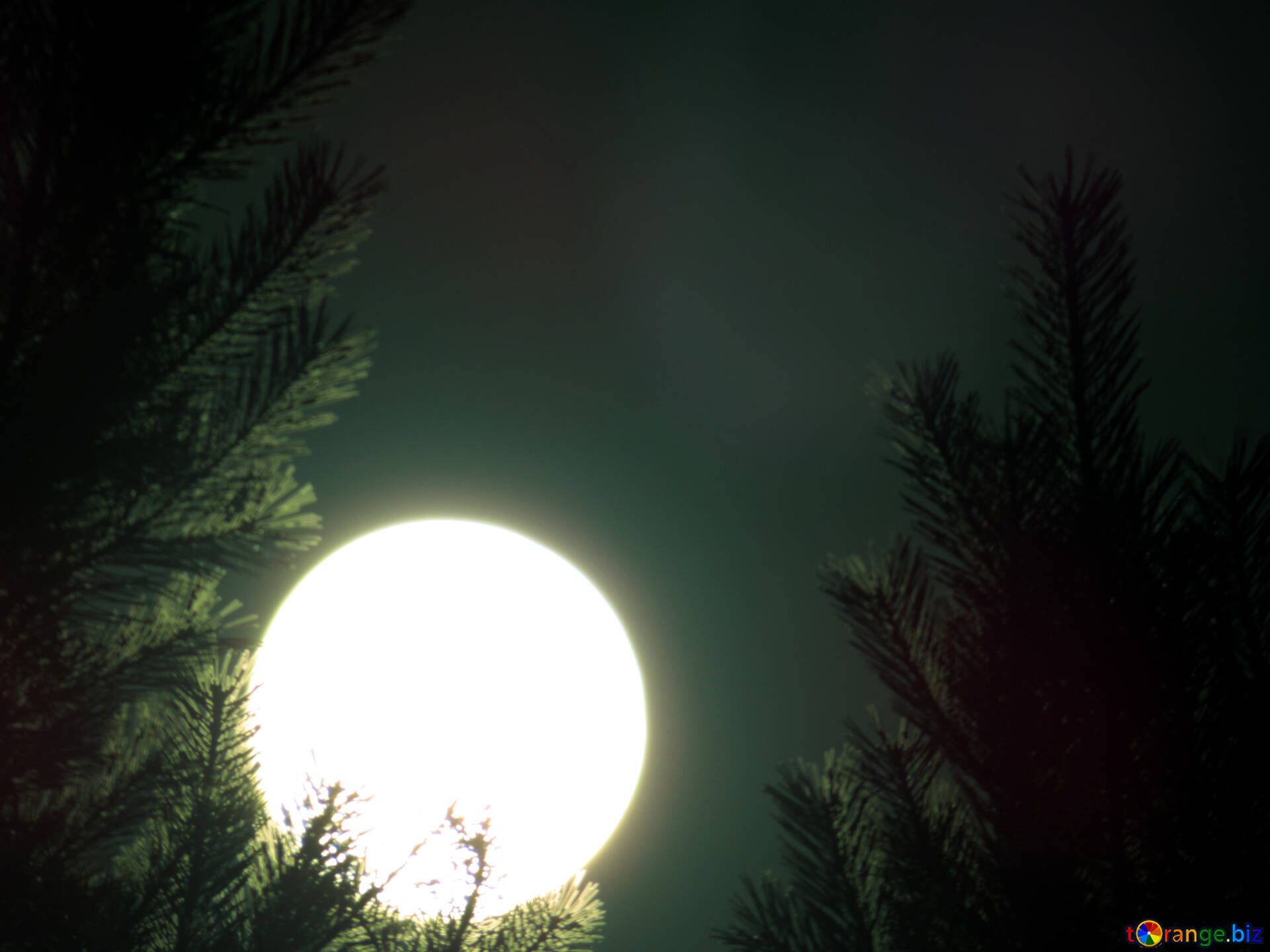 1920x1440 Big round moon silhouette free image - № 24187