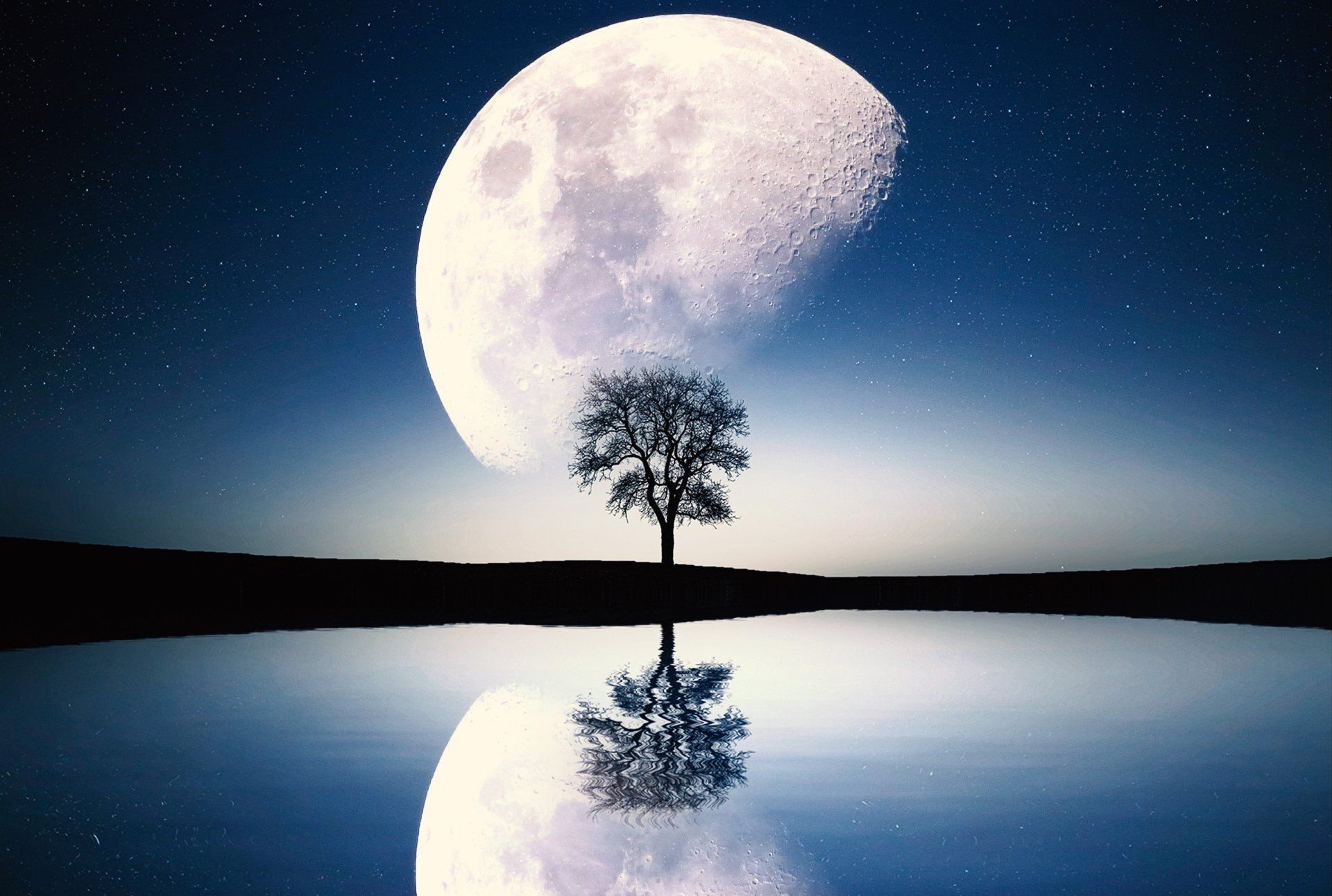 1920x1292 Moonlit Serenity: Nature's Silent Glow HD Wallpaper