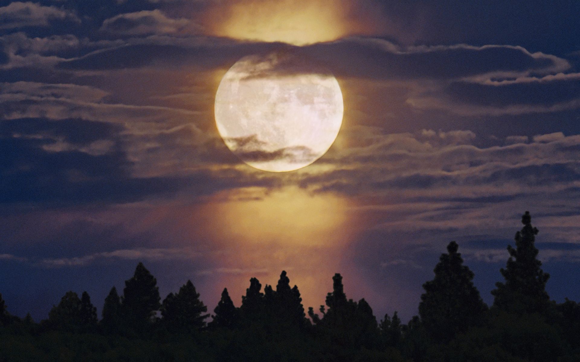 1920x1200 Bright Moon Picture, Photo, and Image for Facebook, Tumblr, Pinterest, and Twitter