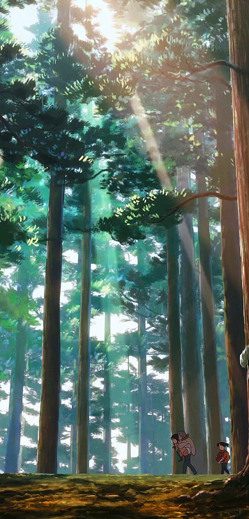 800x1664 Forest, anime, green, landscape, scenery, tree, HD phone wallpaper
