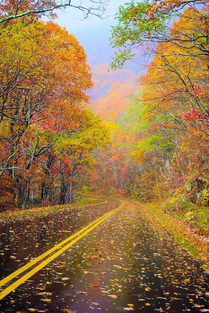 800x1200 Asheville Wallpaper