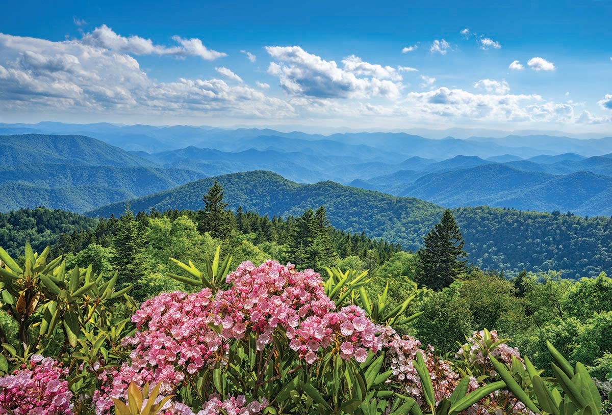 1200x815 Explore the Eclectic Vibes of Asheville