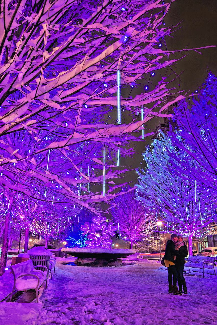 850x1275 Best places to see Christmas light displays in the Asheville, North Carolina, area downtow. Christmas light displays, Christmas lights, Winter light HD phone wallpaper