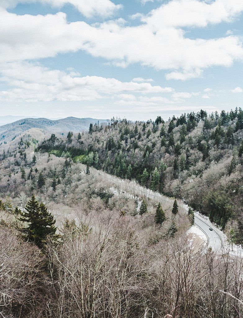 783x1024 Blue Ridge Parkway Photo Print, Asheville North Carolina Photography