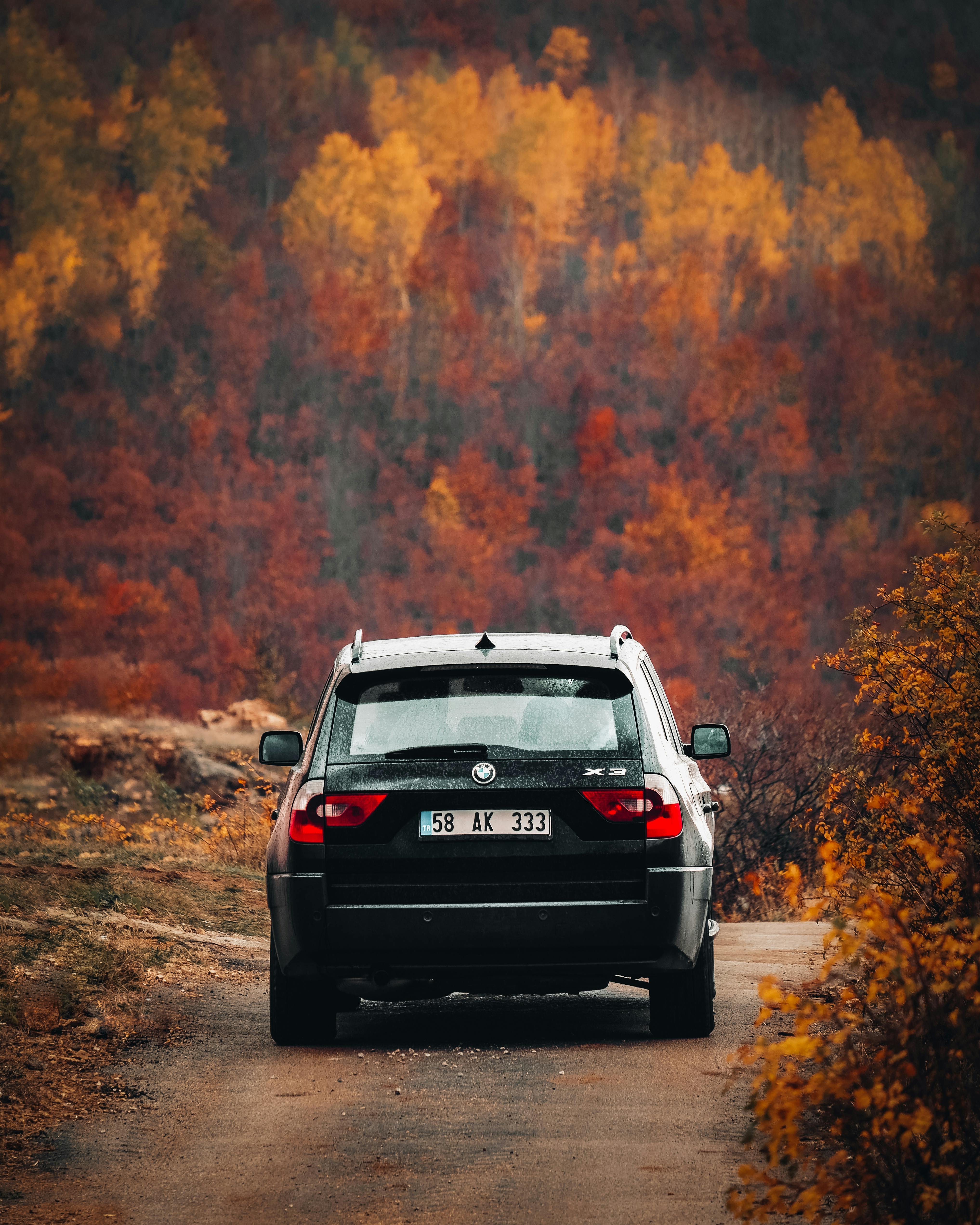 4069x5086 BMW X3 on a Road in Autumnal Forest · Free