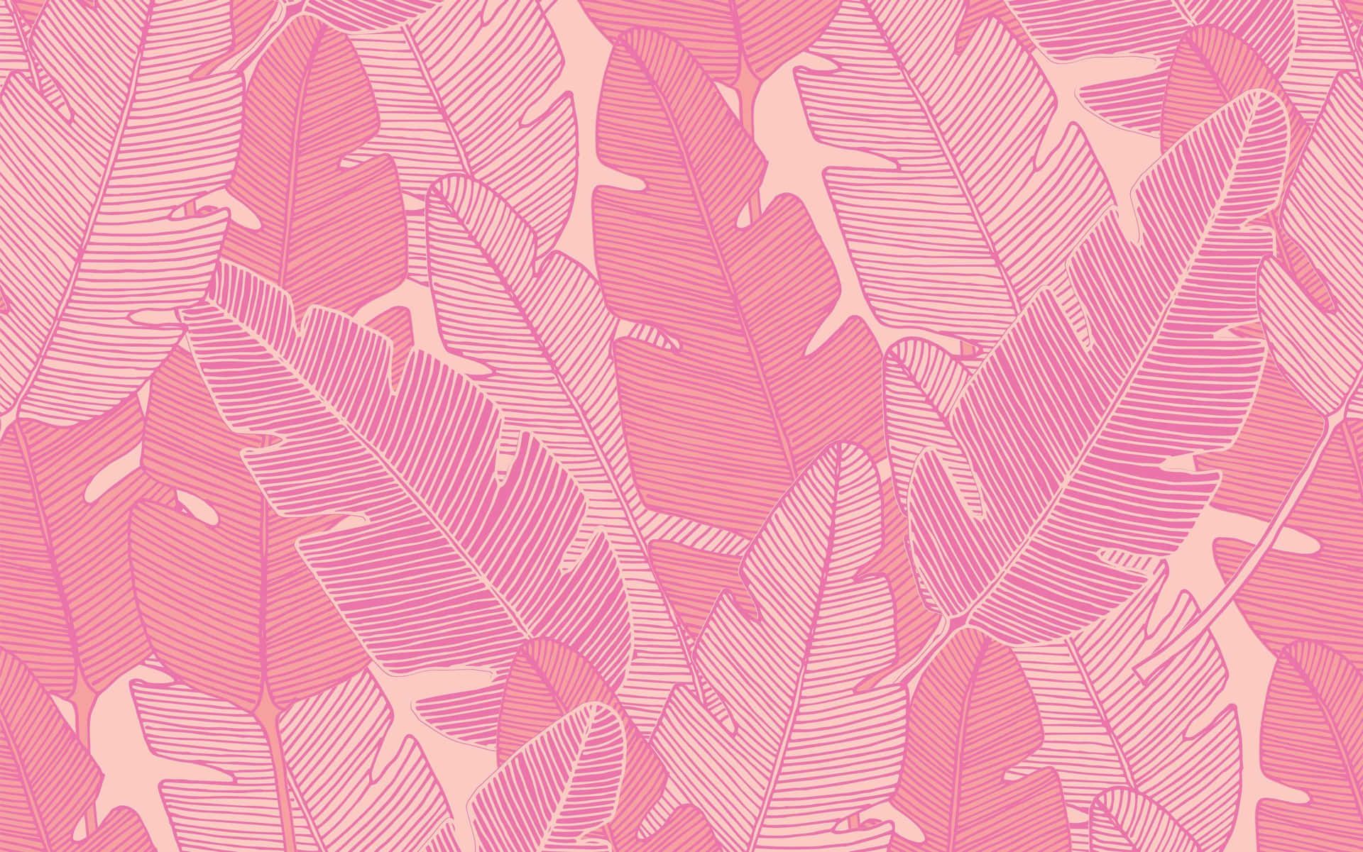 1920x1201 Pink Laptop Wallpaper