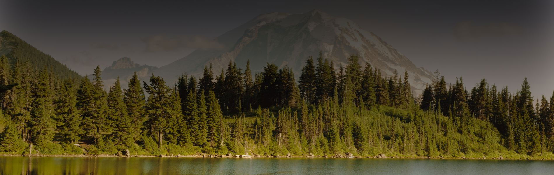 1900x600 Welcome to Customs Brokers & International Freight Forwarders Association of Washington State