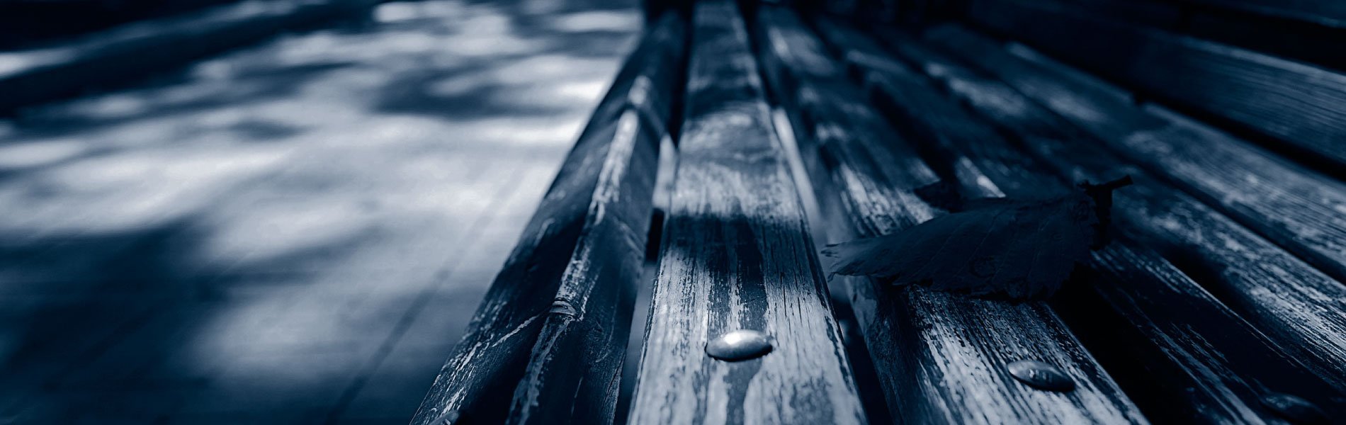 1900x600 Top Parks and Recreation Programs and What Makes Them Great