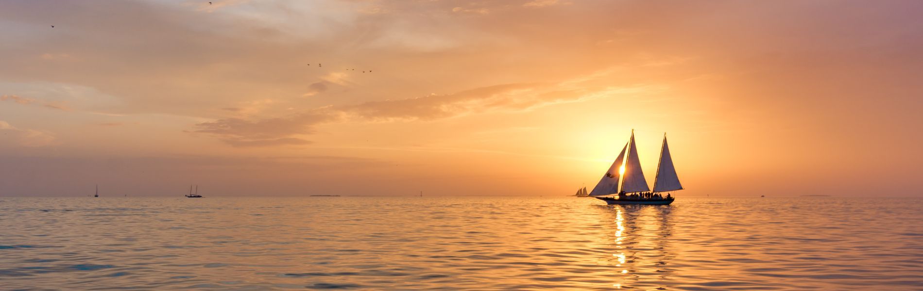 1900x600 Dolphin & Snorkel Tour. Key West Hideaways