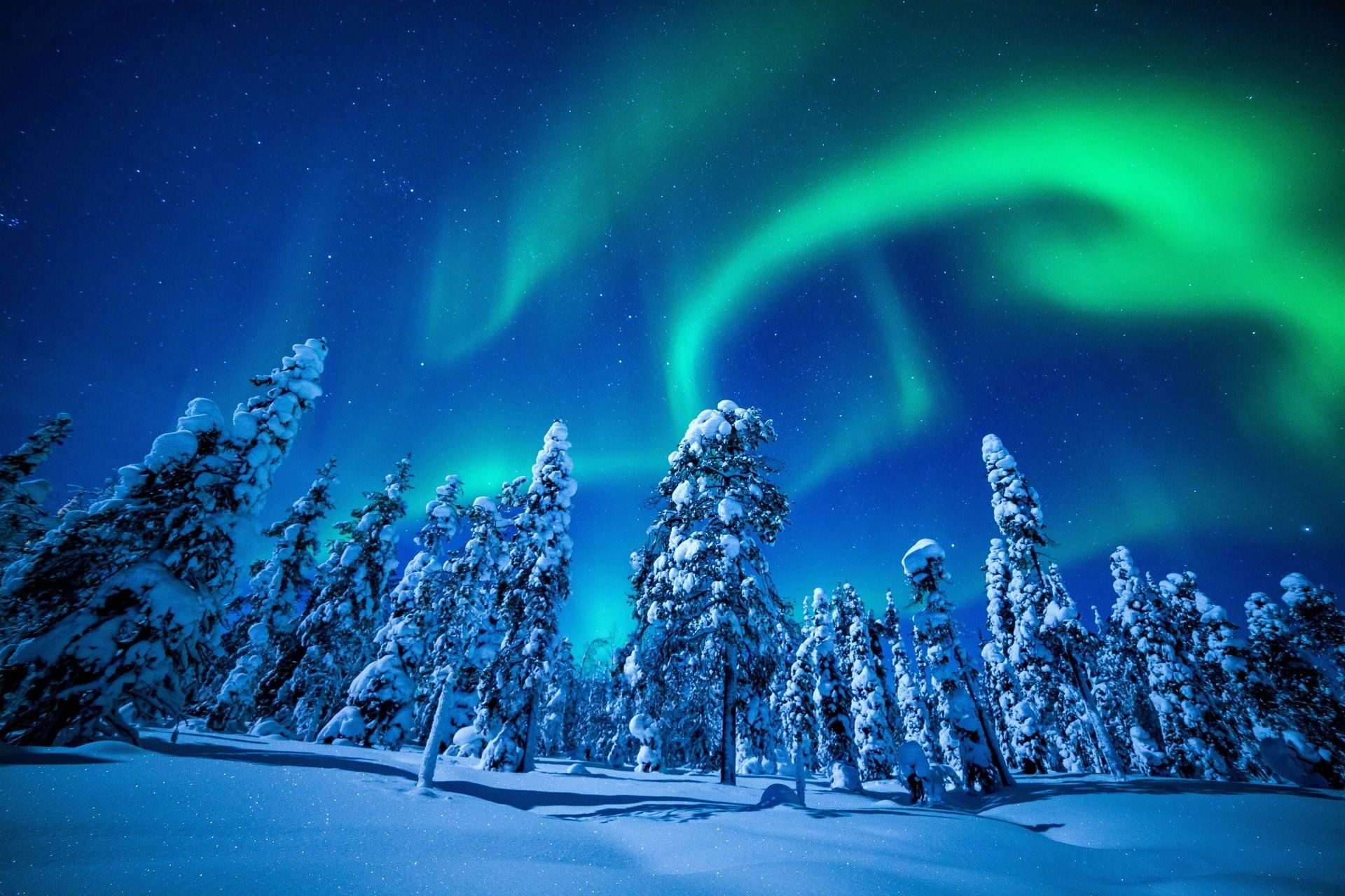 1920x1280 Winter Forest with Aurora Borealis Ultra HD Wallpaperx3744