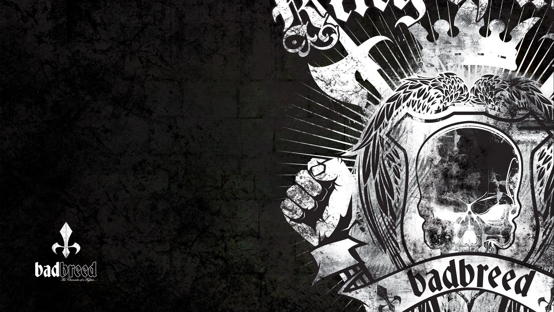 MMA Wallpapers Top Free MMA Backgrounds WallpaperAccess