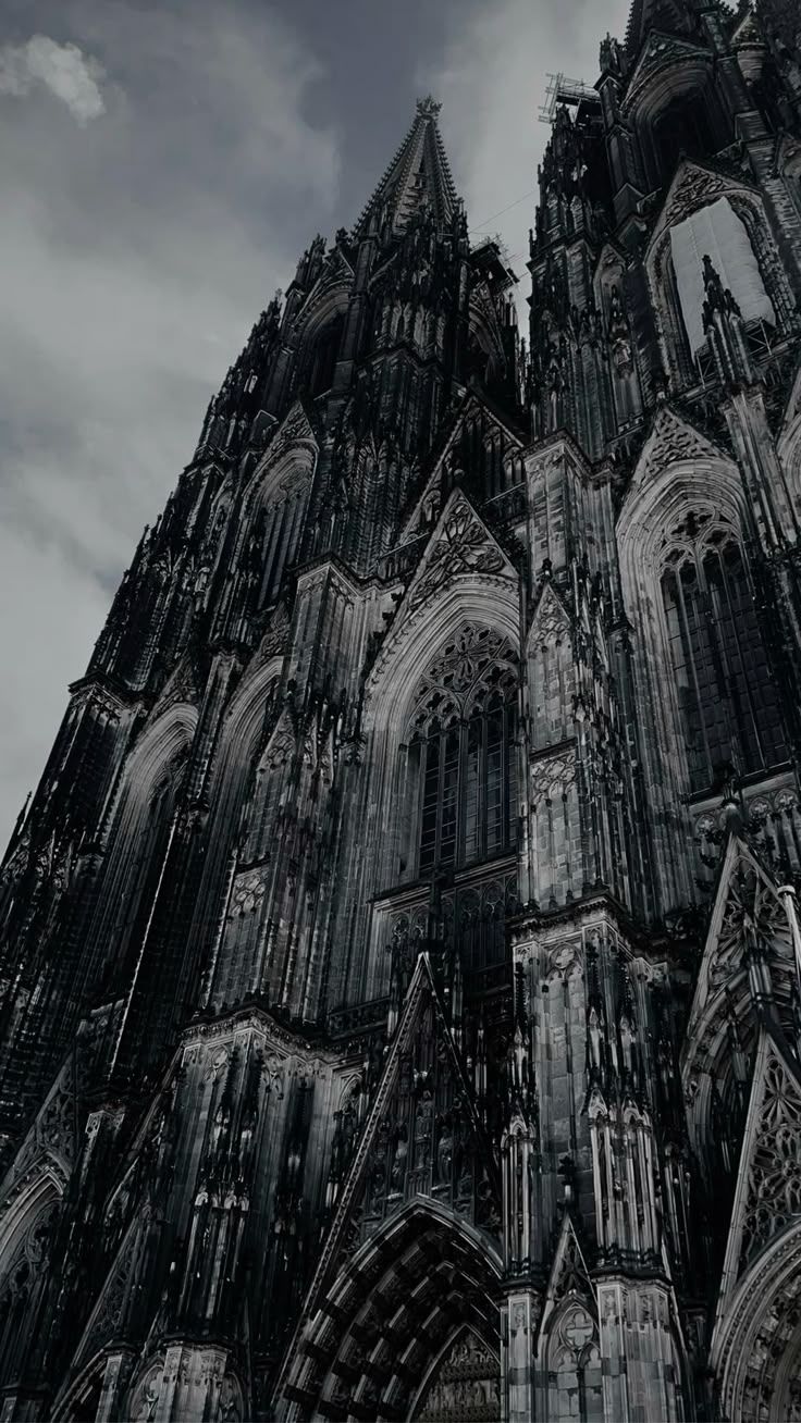 736x1308 Köln Cologne DEU Ideas. Cologne Germany, Cologne, Cologne Cathedral