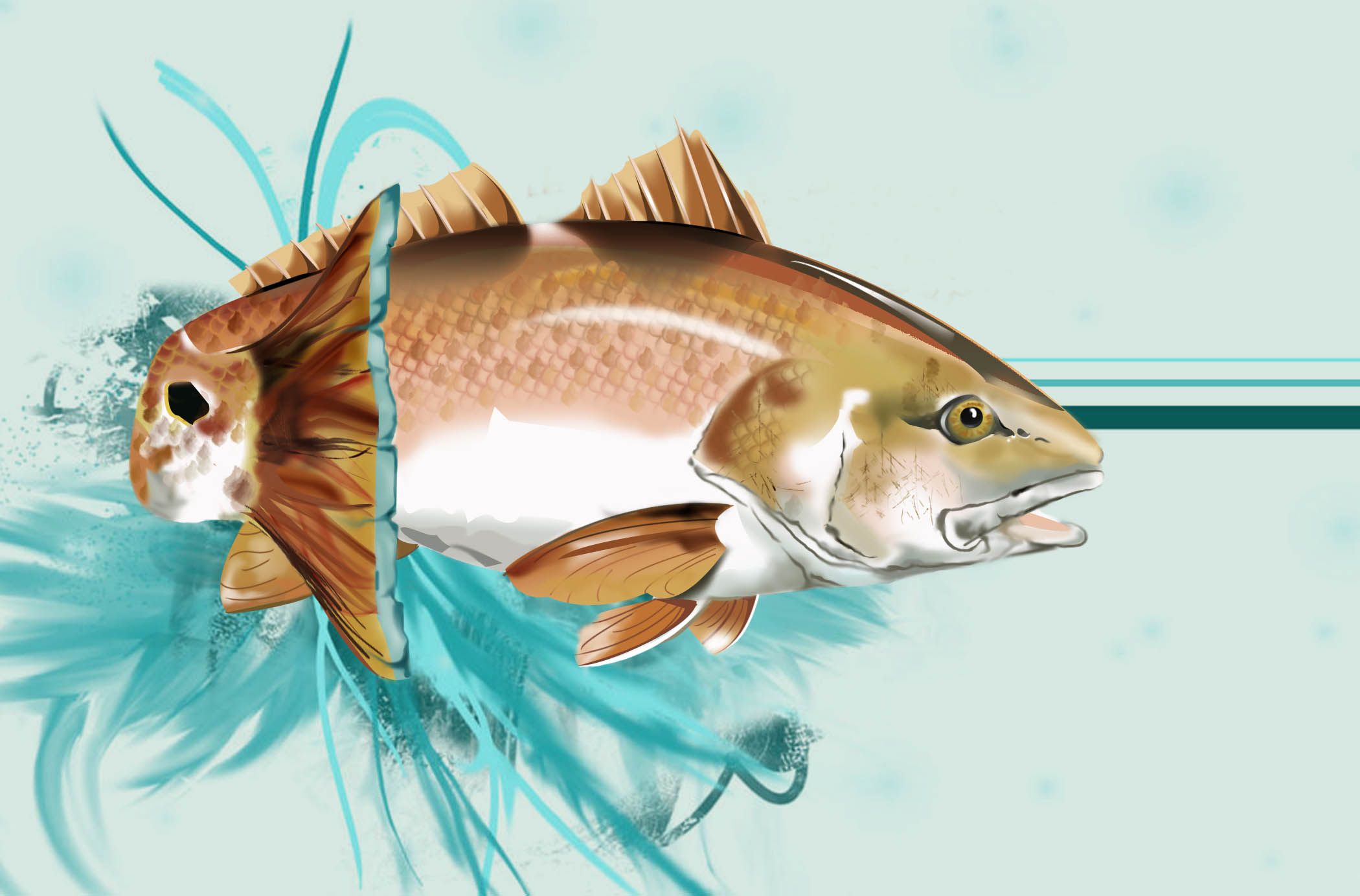 2100x1383 Red Drum Wallpaper