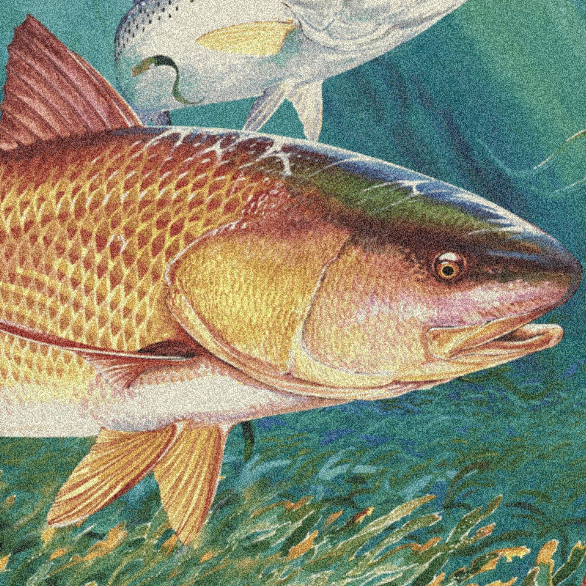 1946x1946 Redfish Area Rug