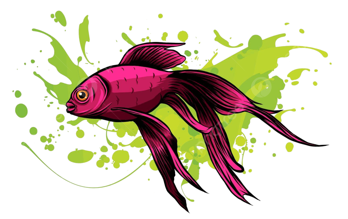 1200x755 Refined Vector Illustration Of Red Drum Or Redfish With Intricate Details Vector, Fauna, Red Drum, Red Fish Illustration Background And Wallpaper For Free Download