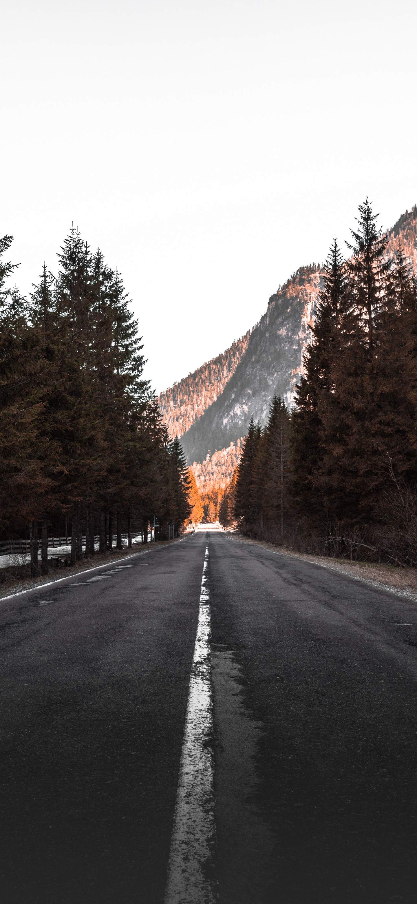 1440x3120 Wallpaper