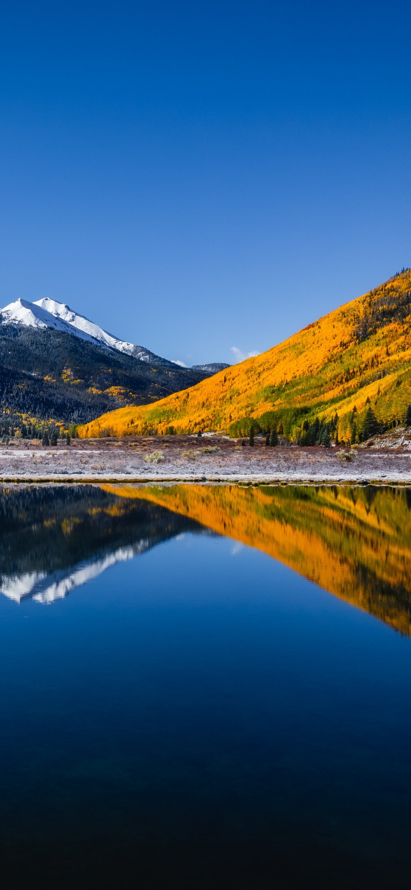 1440x3120 Autumn to Winter Transition 4K UHD Wallpaper for UltraHD Desktop and TV : Widescreen and UltraWide Display : Dual Monitor : Smartphone and Tablet Devices