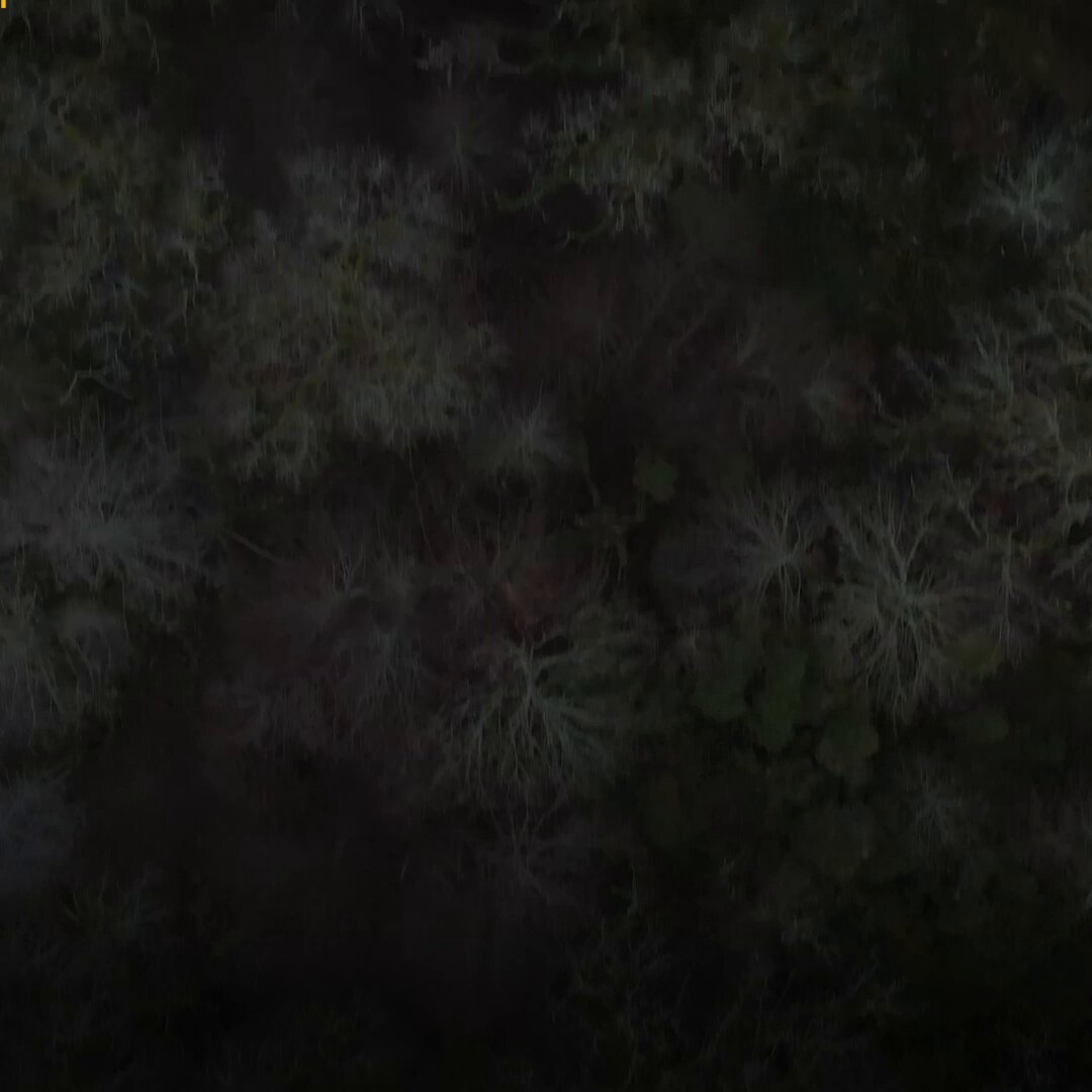 1080x1080 Saab's Video on X