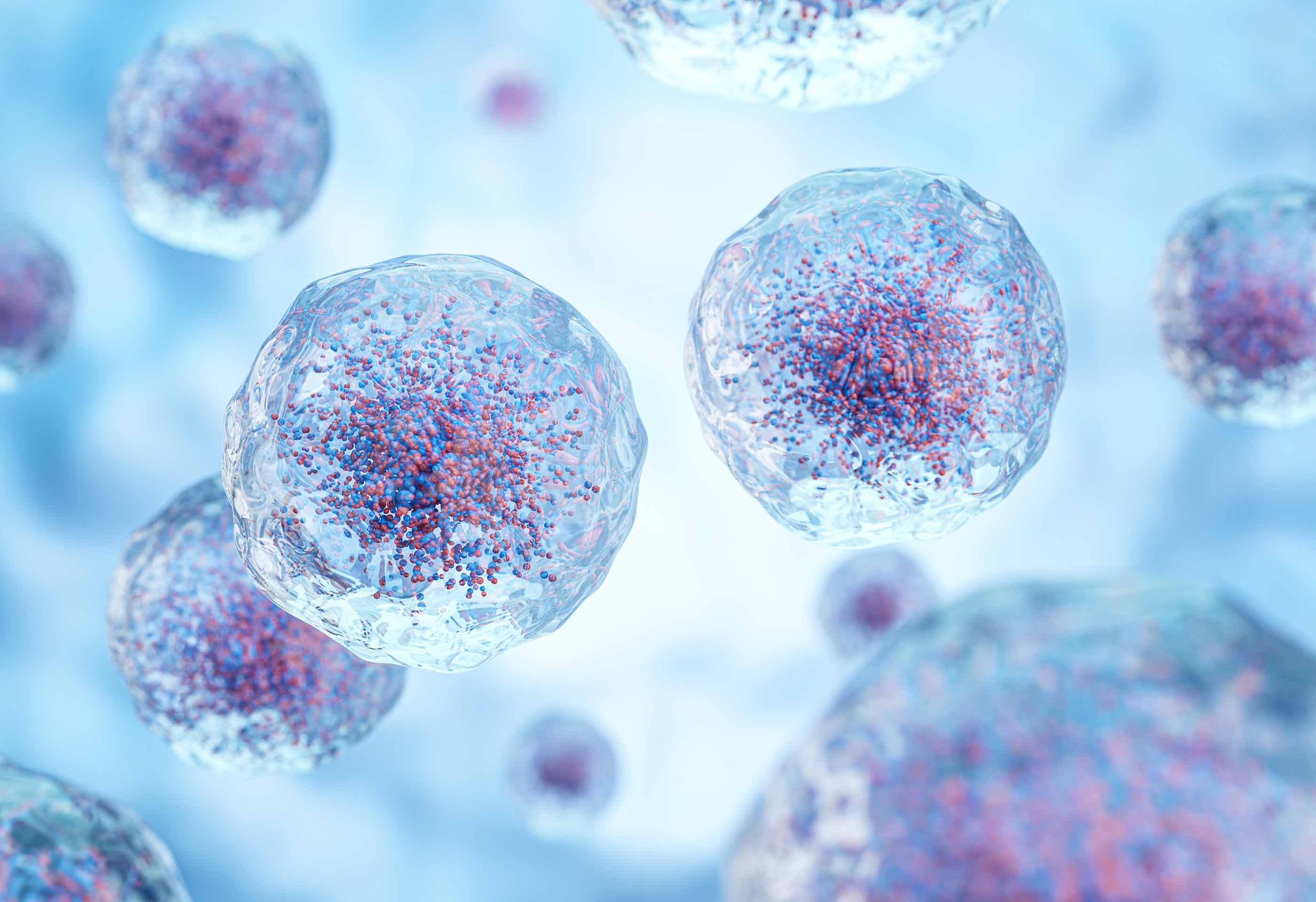 2800x1920 Rutgers Researcher, Through Spinoff, Develops a Handheld White Blood Cell Tracker