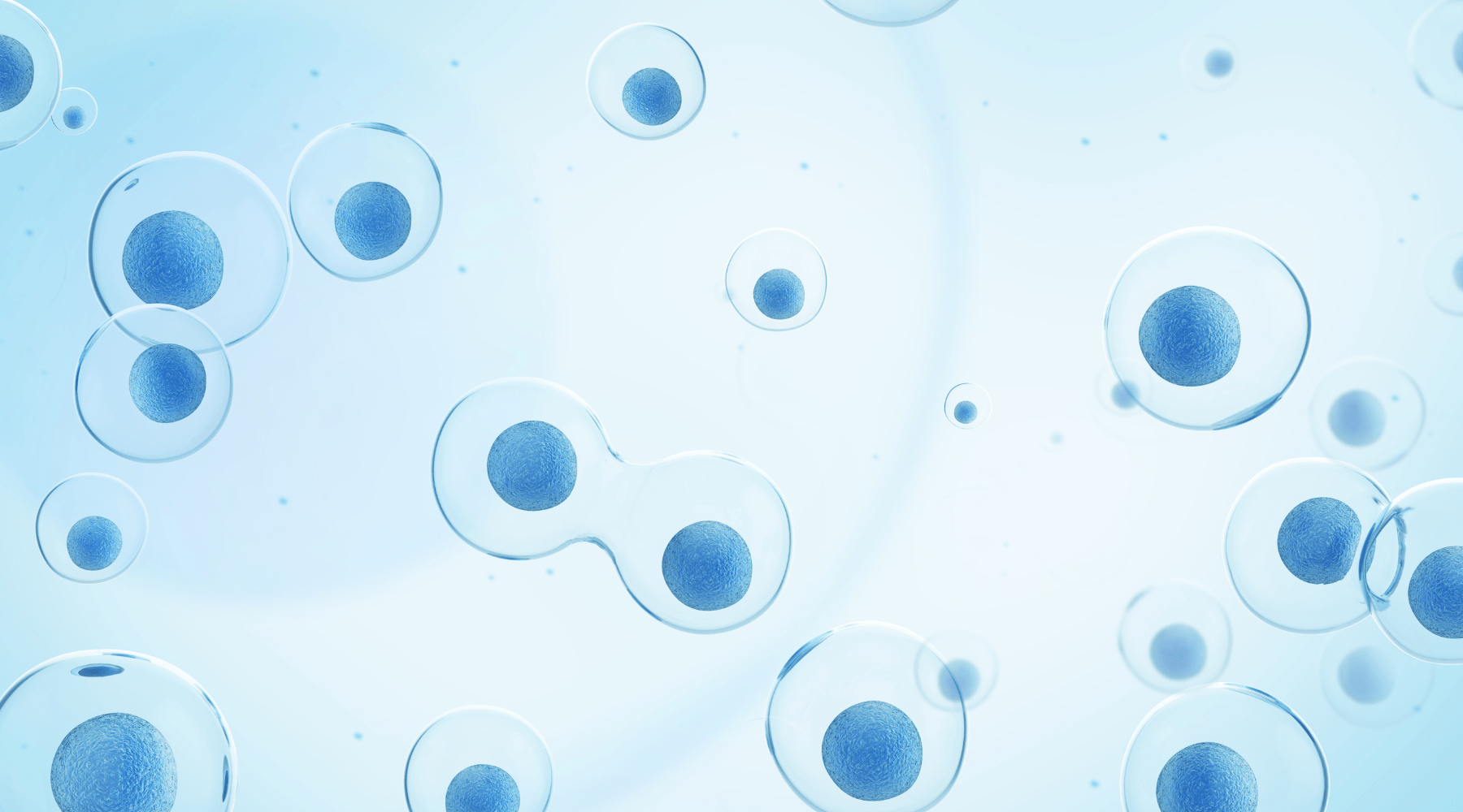 1800x1000 Stem Cell Exhaustion: Hallmark of Aging