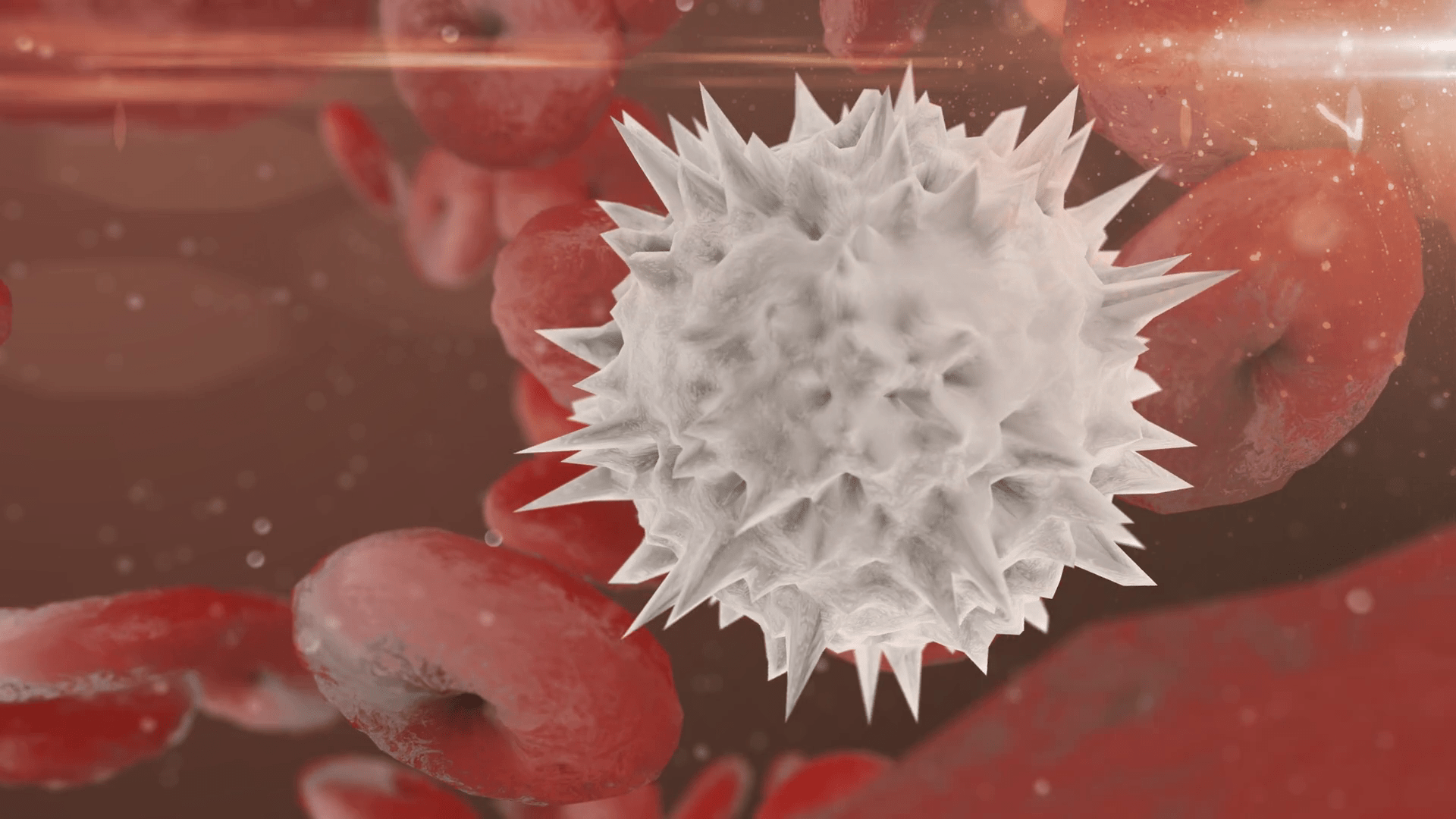 1920x1080 Download White Blood Cell Royalty Free Stock Video Clips