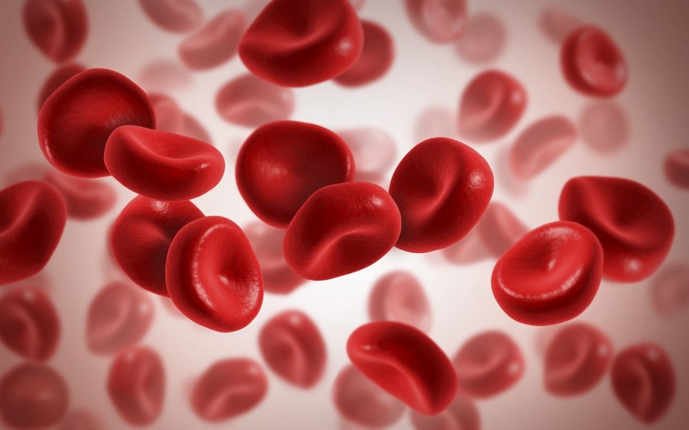 1000x625 Microscopic view of blood cells Poster Print # VARPSTSTK701033H