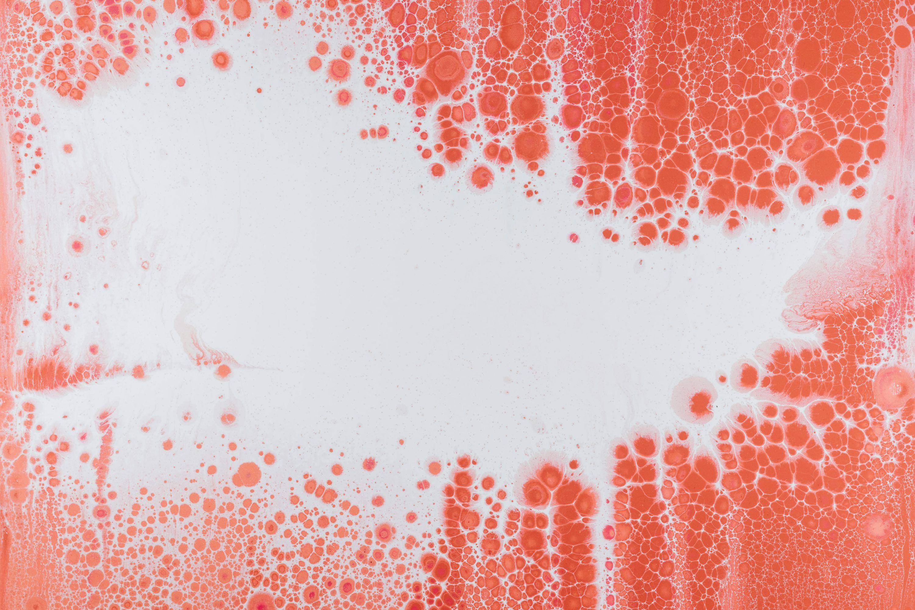 3000x2000 Red Blood Cells Picture. Download Free Image