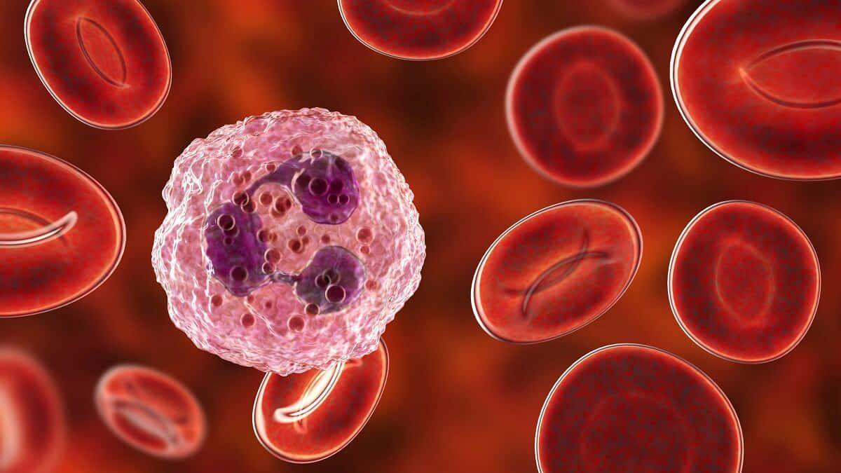 1200x675 Download Red Blood Cells in Action Wallpaper