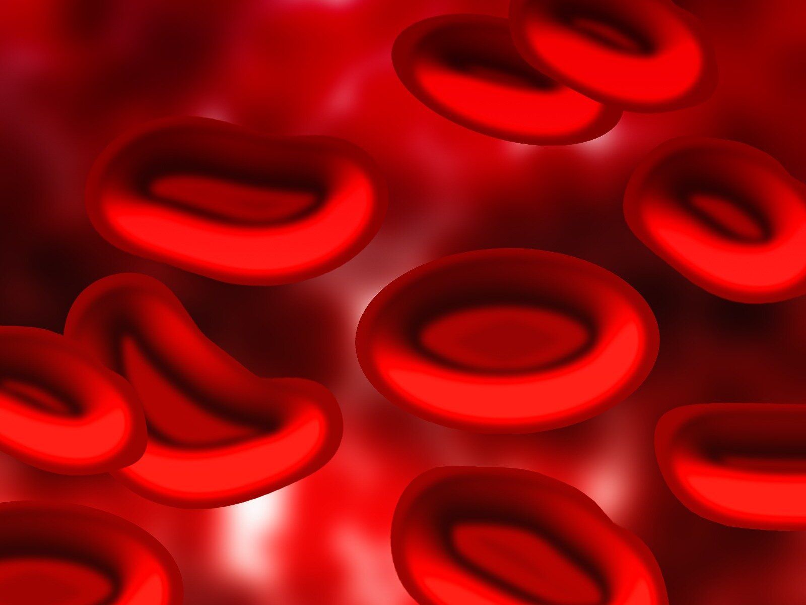 1600x1200 Human white blood cells use molecular paddles to swim
